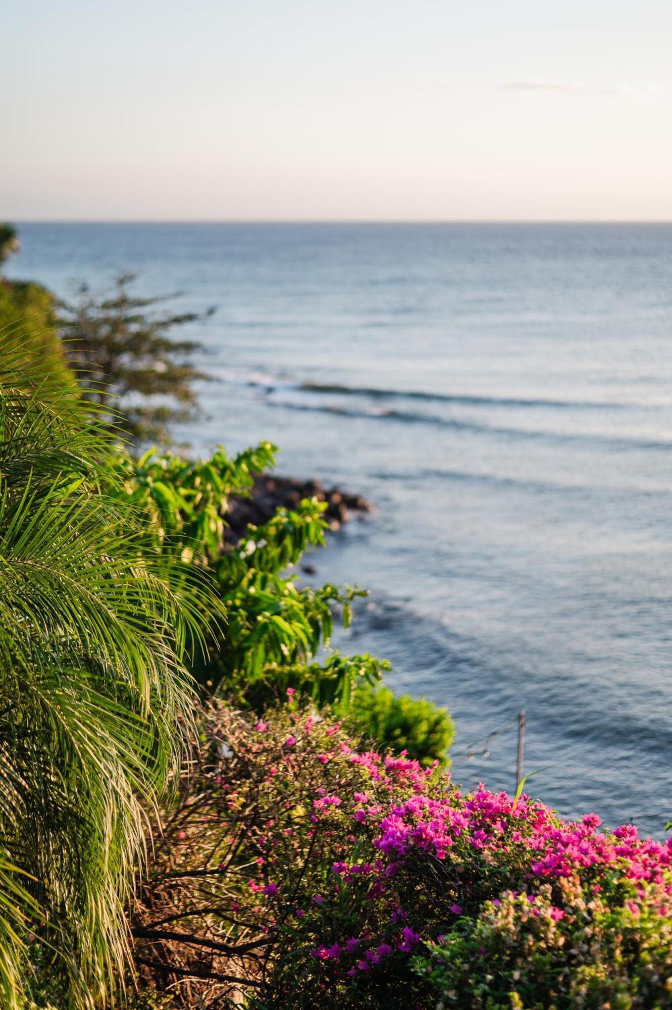 Sunset Reef St. Kitts Hotel Ottleyʼs Village Buitenkant foto