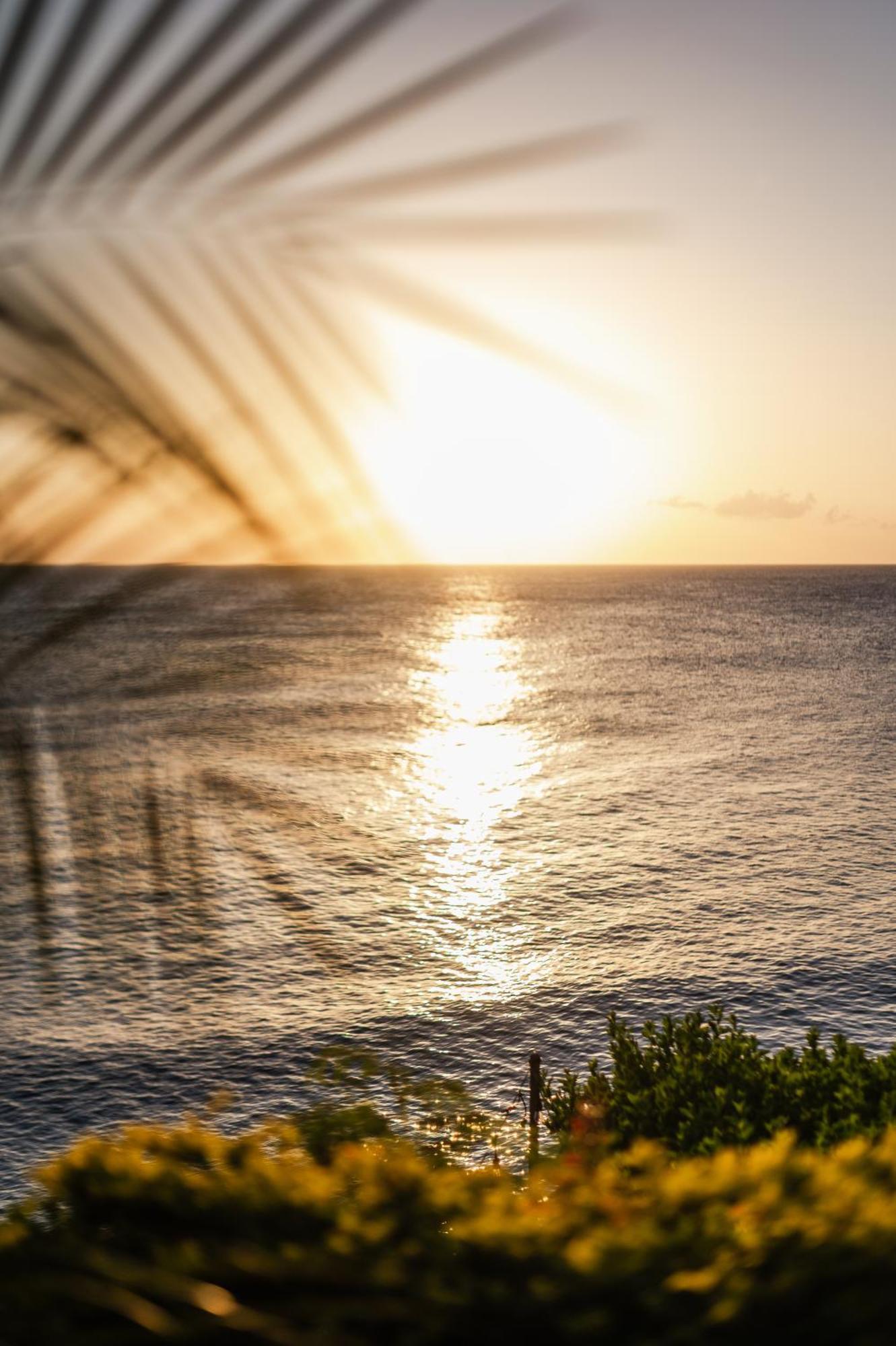 Sunset Reef St. Kitts Hotel Ottleyʼs Village Buitenkant foto