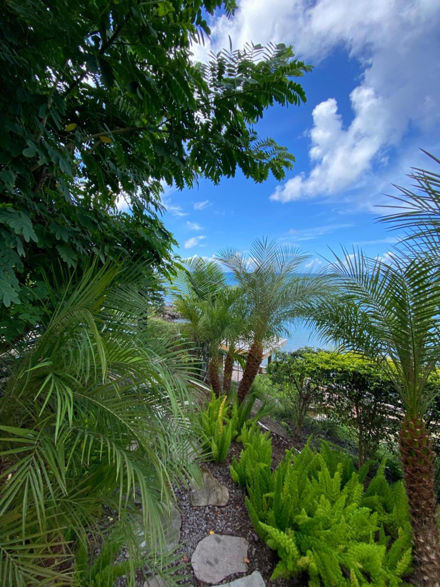 Sunset Reef St. Kitts Hotel Ottleyʼs Village Buitenkant foto